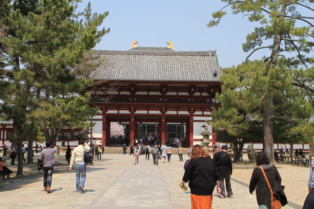 templeのeditorial素材