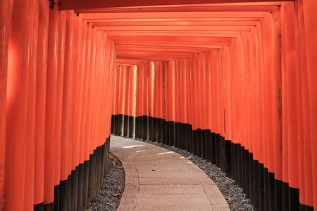 Wooden Gates 