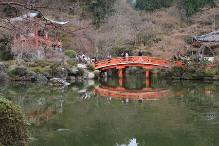 Sakuraのeditorial素材