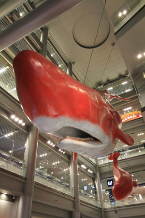 osaka  Shoppingのeditorial素材