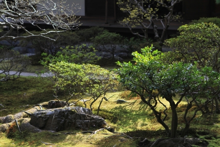 zen gardenの写真素材