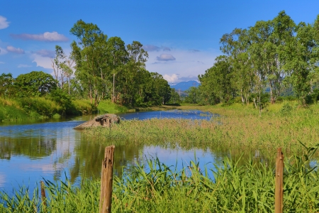 wetlandの写真素材