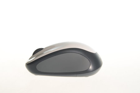 mouse