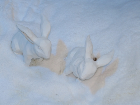 Figurines of rabbitの写真素材