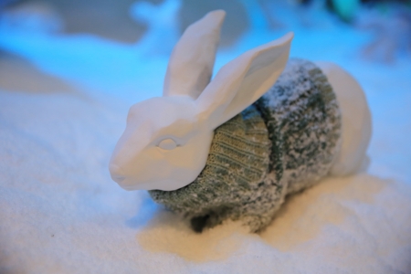 rabbitの写真素材