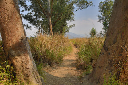 path
