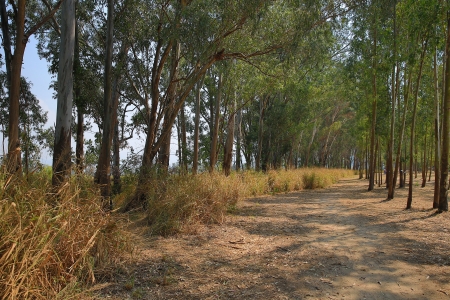 parthの写真素材