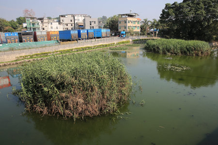 waterlandのeditorial素材