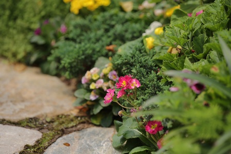 gardenの写真素材