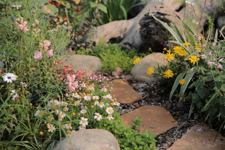 gardenの写真素材