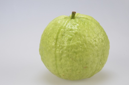 Psidium guajavaの写真素材