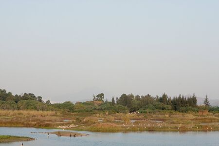 wetland parkの写真素材