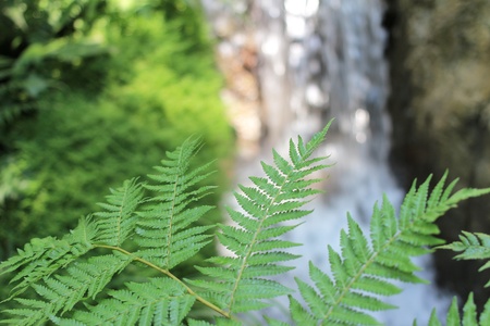 waterfallの写真素材