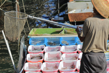 sai kung sea market, hong kong