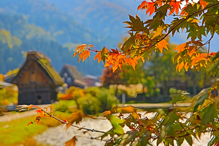 Shirakawa goのeditorial素材