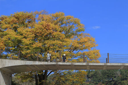 people cross the bridge over Shogawa river to the Ogimachi Villageのeditorial素材