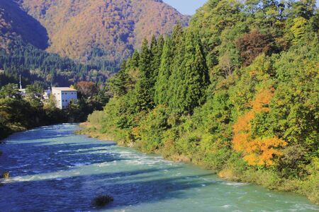 nature view of japanの写真素材