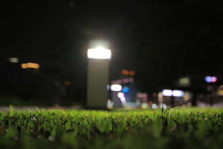 walkside at nightの写真素材