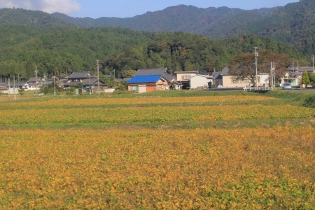 takayama countrysideの写真素材