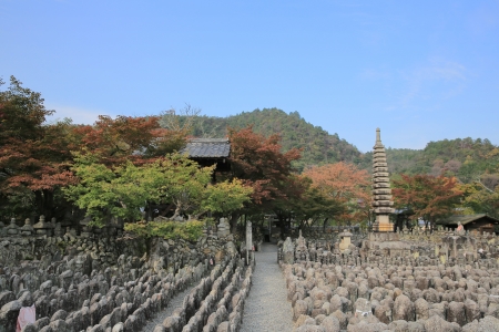 Adashino Nenbutsu-jiのeditorial素材