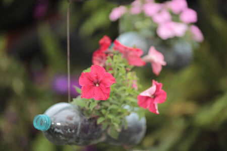 Garbage with growing flower 