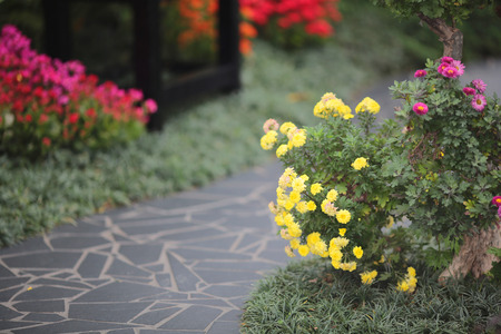 stone walkway in gardenの写真素材
