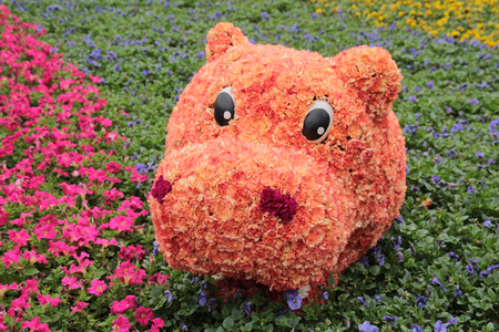 Flower bed and green grassの写真素材