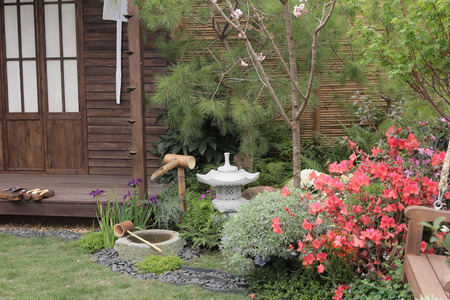 japanese gardenの写真素材