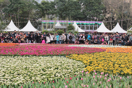 Hong Kong Flower Showのeditorial素材