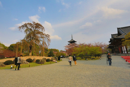 ninna-ji templeのeditorial素材