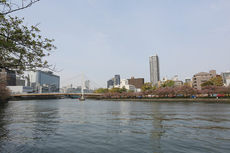Osakajokitazume , osaka