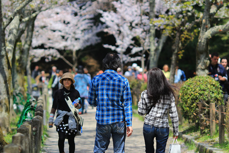 Philosopher s Walkのeditorial素材