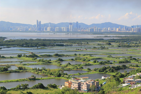 fish Ponds in yuen longのeditorial素材