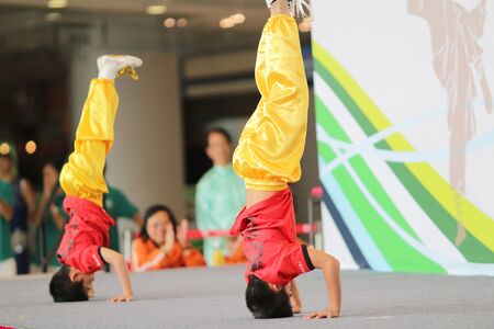Wushu Demonstration 