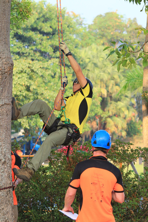 tree climber hangingのeditorial素材