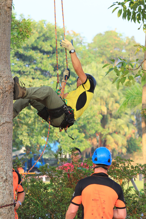 tree climber hangingのeditorial素材