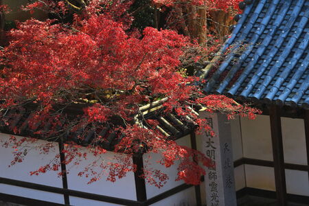 fall season at Nanzen-jiのeditorial素材