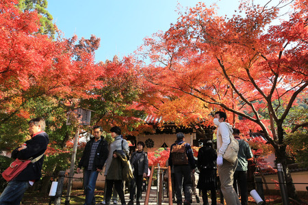 Eikan-do Zenrin-ji at fall seasonのeditorial素材