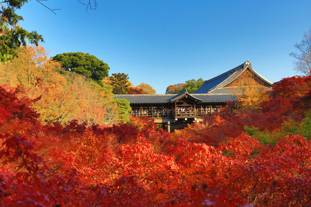 Beautiful walkway over the trees in Tofuku-ji temple, Japanのeditorial素材