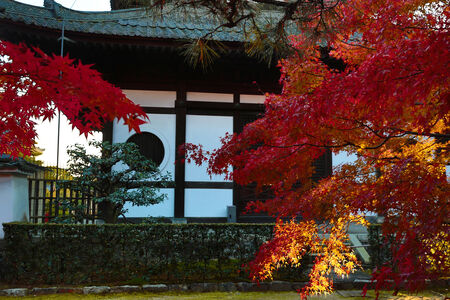Tofuku-ji temple, Japanのeditorial素材
