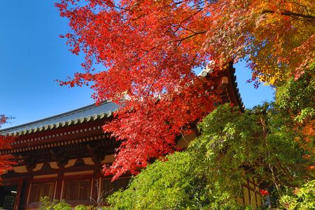 Daigoji Temple in Autumn, Kyoto, Japanのeditorial素材