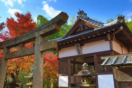 fall season at Kyoto temple