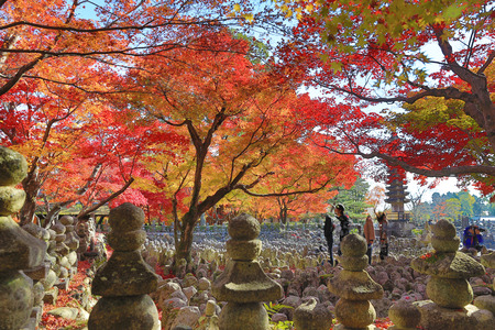 Buddha statue in a zen garden