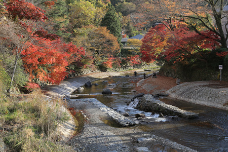 Fall. Autumn at Yasehieizanguchiのeditorial素材