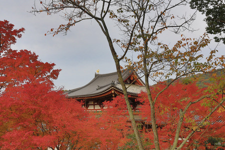 Byodo-In Templeのeditorial素材