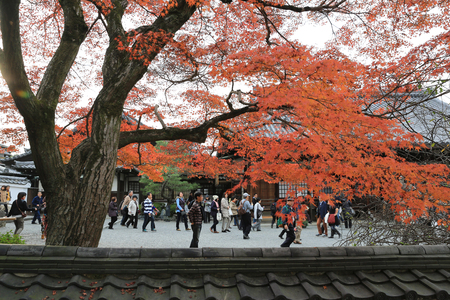 Byodo-In Templeのeditorial素材