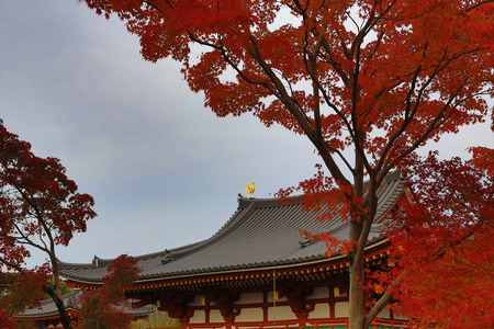 Byodo-In Templeのeditorial素材