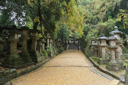 Lanterns in Kasuga, a major Shinto shrine in Nara, Japanのeditorial素材