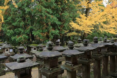 Lanterns in Kasuga, a major Shinto shrine in Nara, Japanのeditorial素材
