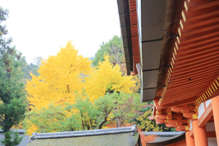 Nara, Japan Kasuga-taisha Shrine.のeditorial素材